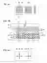 Fig. 04 - Electrophoretic display device and electronic apparatus