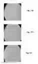 Fig. 10 - Electro-optic displays, and materials for use therein