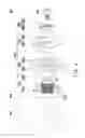 Fig. 04 - Adjustable buffer and multi-media storage device module using the same
