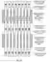 Fig. 25 - Memory architecture of 3D array with improved uniformity of bit line capacitances