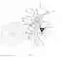 Fig. 06 - Timepiece With Indication of the Time Zone Corresponding to a Chosen Time