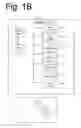Fig. 03 - System and method for tree assessment