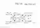 Fig. 14 - Provider network and provider edge apparatus