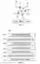 Fig. 04 - Routing protocols for power line communications (PLC)