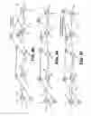 Fig. 27 - Directional mobile ad-hoc network