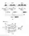 Fig. 07 - Wireless Data Communications