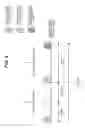 Fig. 06 - Mobile station apparatus and communication method