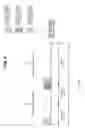Fig. 07 - Mobile station apparatus and communication method