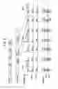 Fig. 04 - Wireless Network Protocol Coexistence