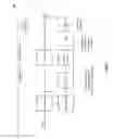 Fig. 08 - Distortion and aliasing reduction for digital to analog conversion