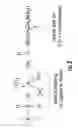 Fig. 03 - Light water reactor primary coolant activity cleanup