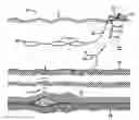Fig. 01 - Performing reverse time imaging of multicomponent acoustic and seismic data