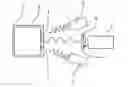 Fig. 01 - Method and device for recognition of information applied on packages