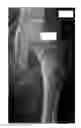 Fig. 01 - Medical image analysis