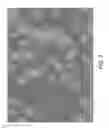 Fig. 03 - Substrate identification and tracking through surface reflectance