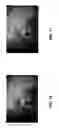 Fig. 10 - Methods and systems for 2D to 3D conversion from a portrait image