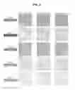 Fig. 06 - Method of automatically creating natural image by using optimization technique