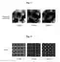 Fig. 07 - Method of automatically creating natural image by using optimization technique