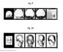 Fig. 08 - Method of automatically creating natural image by using optimization technique