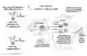 Fig. 01 - Method and apparatus to enhance security and/or surveillance information in a communication network