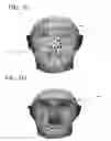 Fig. 07 - Rapid 3D face reconstruction from a 2D image and methods using such rapid 3D face reconstruction