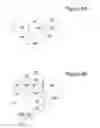 Fig. 09 - Medium and method for interactive seamless branching and/or telescopic advertising