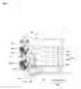 Fig. 02 - Blade driving device and optical instrument
