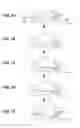 Fig. 08 - Image forming apparatus