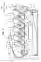 Fig. 02 - Image forming apparatus