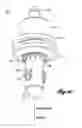 Fig. 11 - Installation method for water-submersible platforms and installation vessel