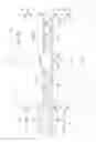 Fig. 16 - Lengthy article conveying apparatus