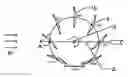 Fig. 01 - ROTATING-BLADE VERTICAL-AXIS WIND TURBINE
