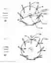 Fig. 03 - ROTATING-BLADE VERTICAL-AXIS WIND TURBINE