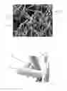 Fig. 01 - Devices and Methods for Tissue Engineering