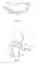 Fig. 08 - Devices and Methods for Tissue Engineering