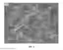 Fig. 03 - Nanowire preparation methods, compositions, and articles