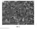 Fig. 04 - Nanowire preparation methods, compositions, and articles