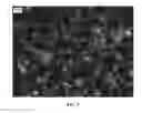 Fig. 08 - Nanowire preparation methods, compositions, and articles