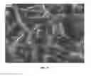 Fig. 09 - Nanowire preparation methods, compositions, and articles