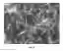 Fig. 10 - Nanowire preparation methods, compositions, and articles