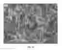 Fig. 12 - Nanowire preparation methods, compositions, and articles