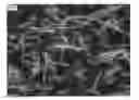 Fig. 01 - NANOWIRE PREPARATION METHODS, COMPOSITIONS, AND ARTICLES