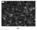 Fig. 08 - NANOWIRE PREPARATION METHODS, COMPOSITIONS, AND ARTICLES