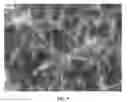 Fig. 10 - NANOWIRE PREPARATION METHODS, COMPOSITIONS, AND ARTICLES