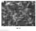Fig. 15 - NANOWIRE PREPARATION METHODS, COMPOSITIONS, AND ARTICLES