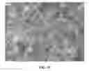 Fig. 16 - NANOWIRE PREPARATION METHODS, COMPOSITIONS, AND ARTICLES