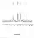 Fig. 30 - Water-soluble functionalized fullerenes