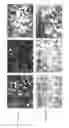 Fig. 124 - Specific binding proteins and uses thereof
