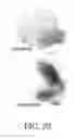 Fig. 22 - Specific binding proteins and uses thereof