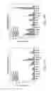 Fig. 37 - Specific binding proteins and uses thereof